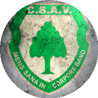 Logo Club Sportivo Árbol Verde de San Juan